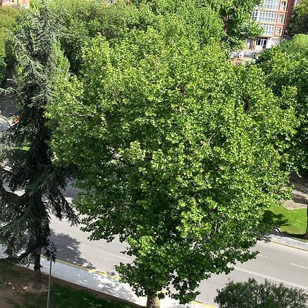 El Balcoen De Aviles, Acogedor Con Garaje En Centro Historico, מראה חיצוני תמונה
