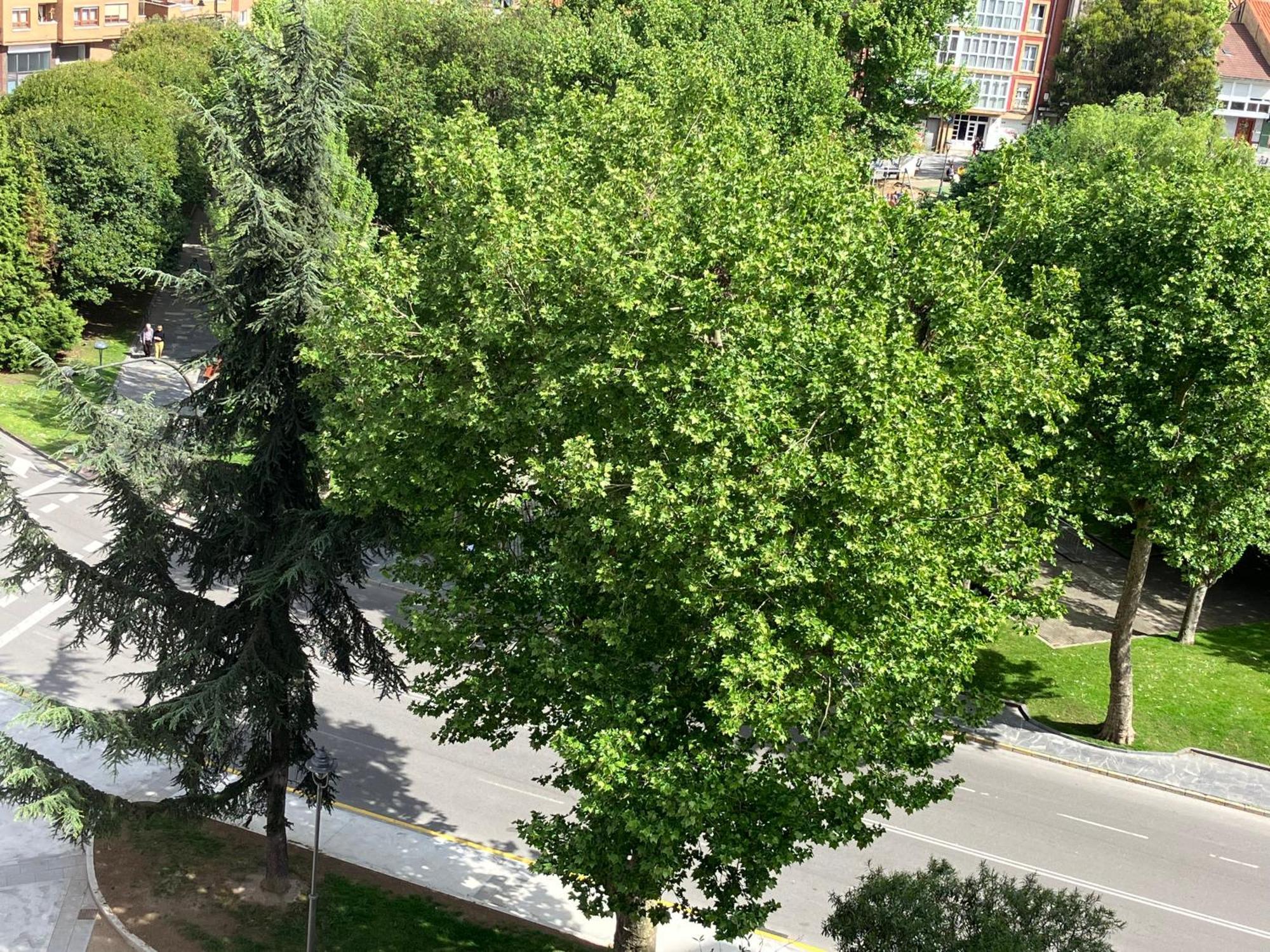 El Balcoen De Aviles, Acogedor Con Garaje En Centro Historico, מראה חיצוני תמונה